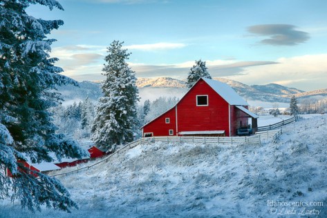 Washington, Eastern, Chewelah. A red barn in a wintery landscape.