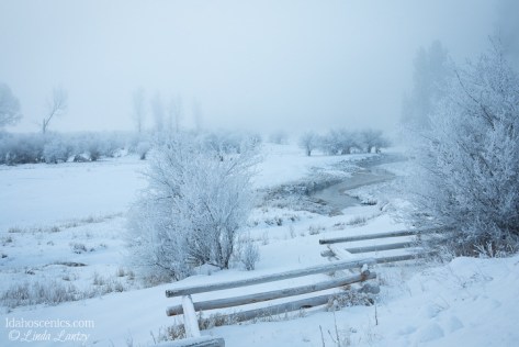 Idaho, Cascade. A creek and fence run through a snowy, misty landscape scene.