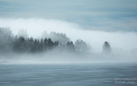 Misty Shores- Lake Cascade State Park in February.