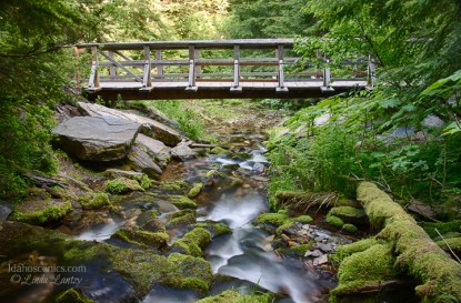 Idaho, North, Kingston, Prichard. The trail bridge at Fern Falls in late spring.