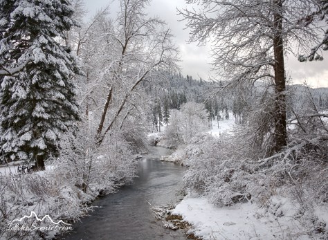 Idaho, North, Kootenai County, Coeur d'Alene. Wolf Lodge Creek on a winter day.