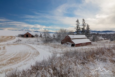 Washington, Eastern, Tekoa. An old barn in a snow covered landscape.